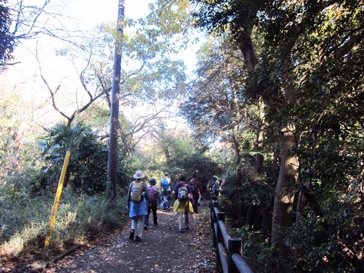 e0245404_11395390.jpg