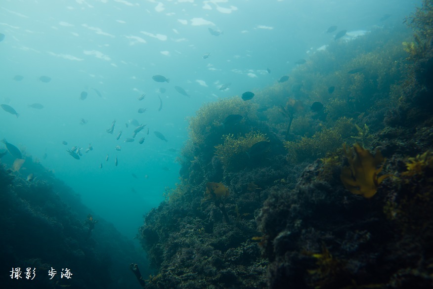 葉山の海(2015年11月)_b0348205_17544265.jpg