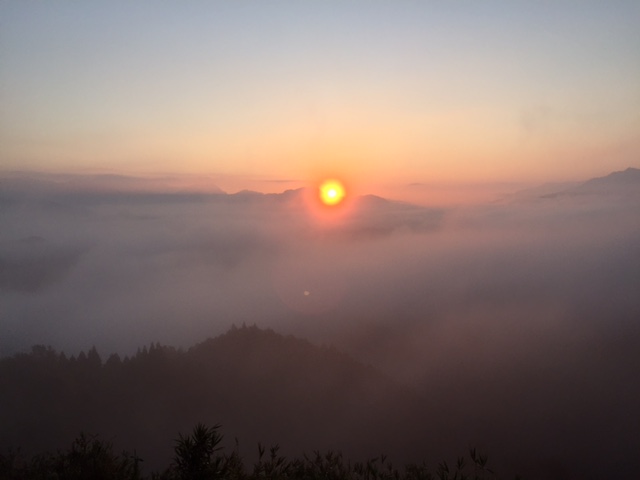 国見ヶ丘からの雲海_a0326106_21294672.jpg