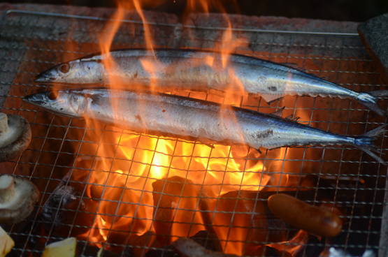 さんまと焼き芋_f0008510_14515490.png