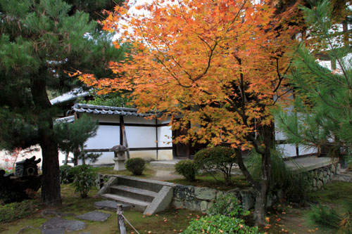 紅葉だより51 鹿王院_e0048413_22145539.jpg