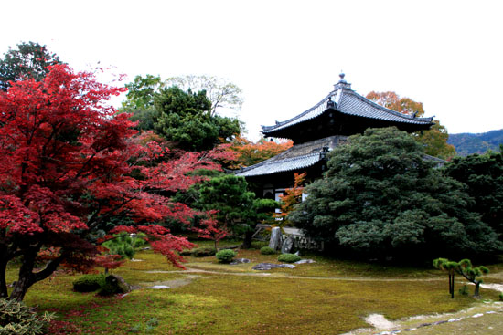 紅葉だより51 鹿王院_e0048413_22151644.jpg