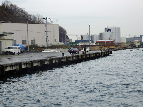 ２０１５ １２ ２ 小樽港ホーマック裏側岸壁 ３時間でチカ２匹 たどり着いたら いつもチカ釣り