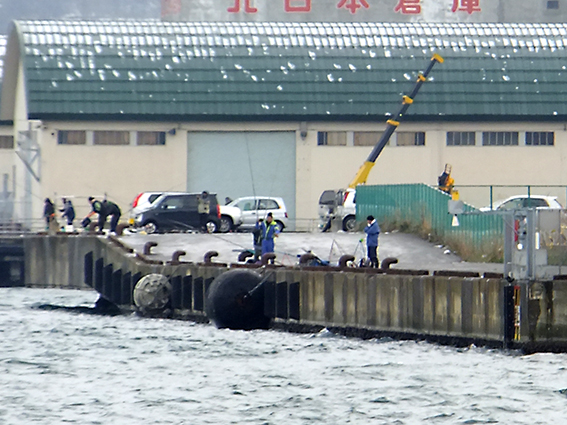 ２０１５ １２ ２ 小樽港ホーマック裏側岸壁 ３時間でチカ２匹 たどり着いたら いつもチカ釣り