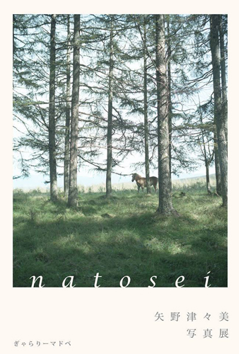 矢野津々美 写真展 「natosei」_a0251920_10481575.jpg