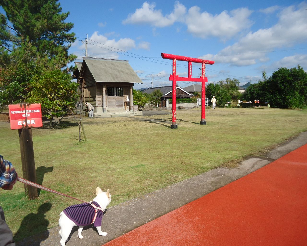 b0248920_6384246.jpg