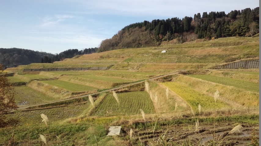e0091220_20233016.jpg