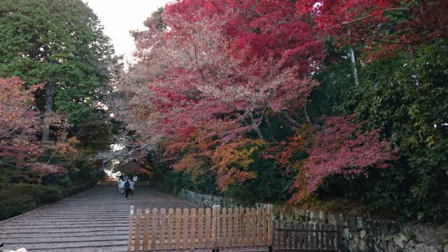 色を綺麗に入れるには!_b0226322_17482642.jpg