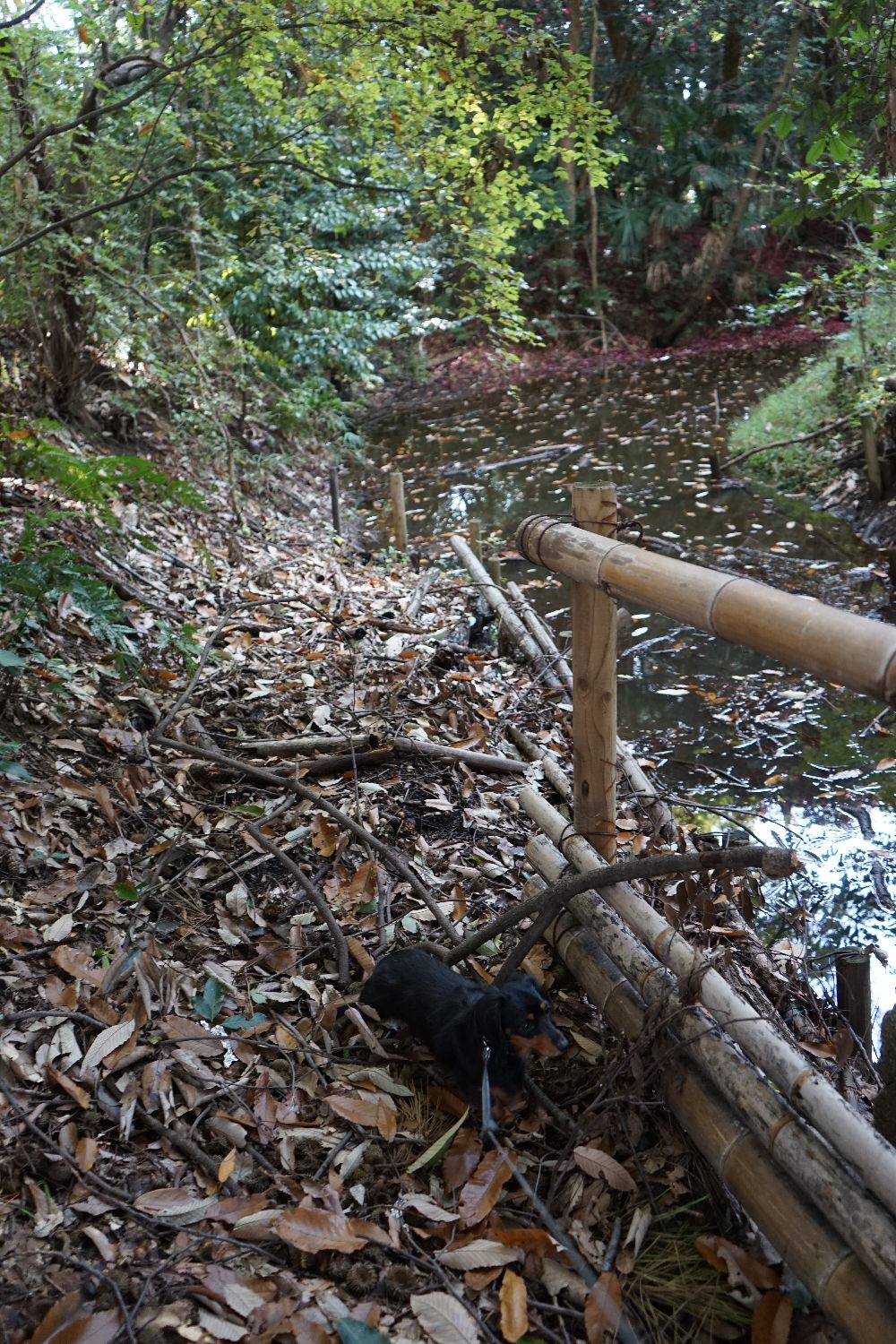 b0069128_11355783.jpg
