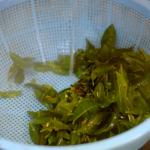 「熊本・水俣 天の製茶園でのお茶作り、地元料理ランチ」_a0000029_2004039.jpg