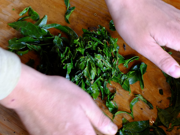 「熊本・水俣 天の製茶園でのお茶作り、地元料理ランチ」_a0000029_2053544.jpg