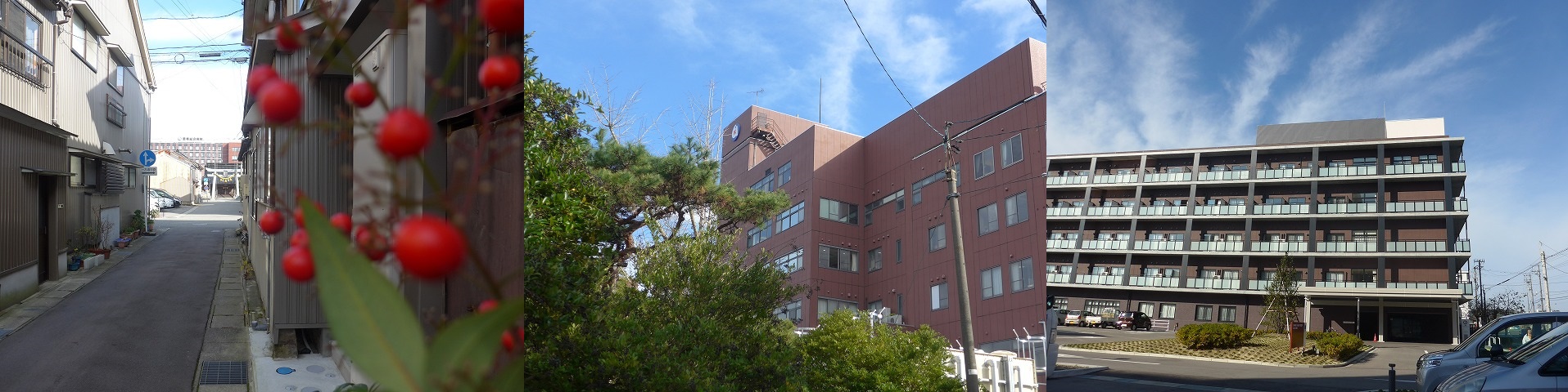 Who 渋谷 健司 Who 渋谷 健司