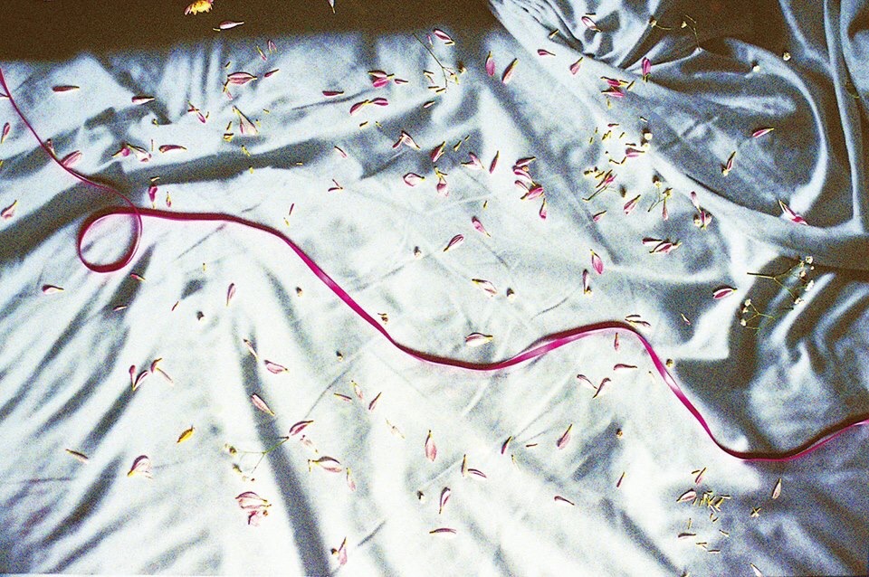 鈴木敦子さん 展覧会「Scenery from my bed side」_b0187229_18301894.jpg