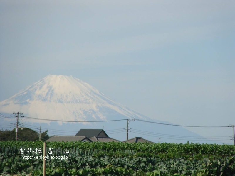 鱈ちり風湯豆腐_d0269832_11265970.jpeg