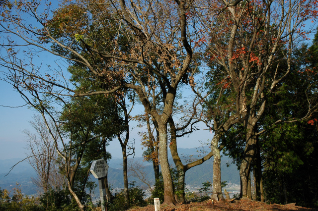 海抜0mから鎮南山に登る！_e0272335_17471344.jpg