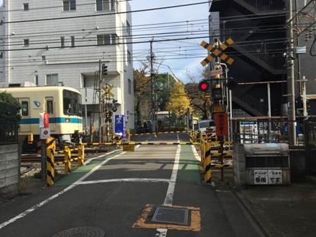 代々木上原から原宿まで歩く ２ 代々木公園 散歩ガイド