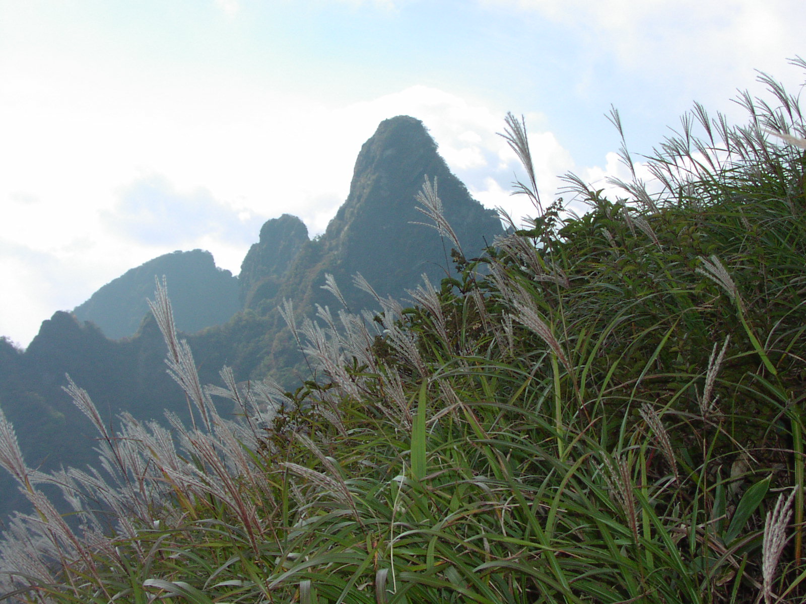 c0281841_13152563.jpg