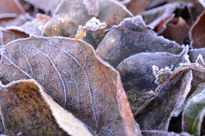 c0202242_8414656.jpg