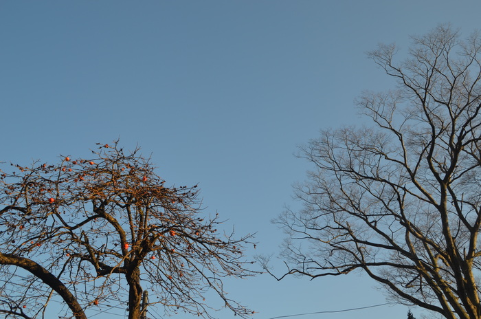 c0202242_842579.jpg