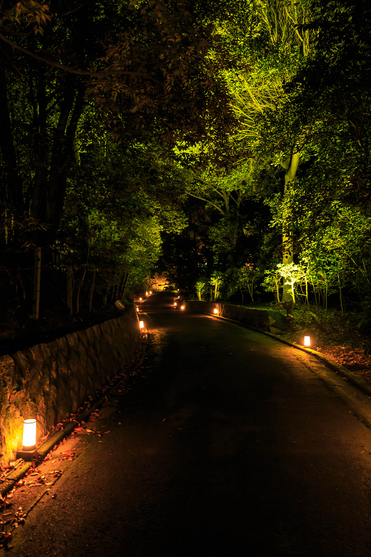 京都の紅葉2015・雲龍院ライトアップ_f0155048_0211451.jpg