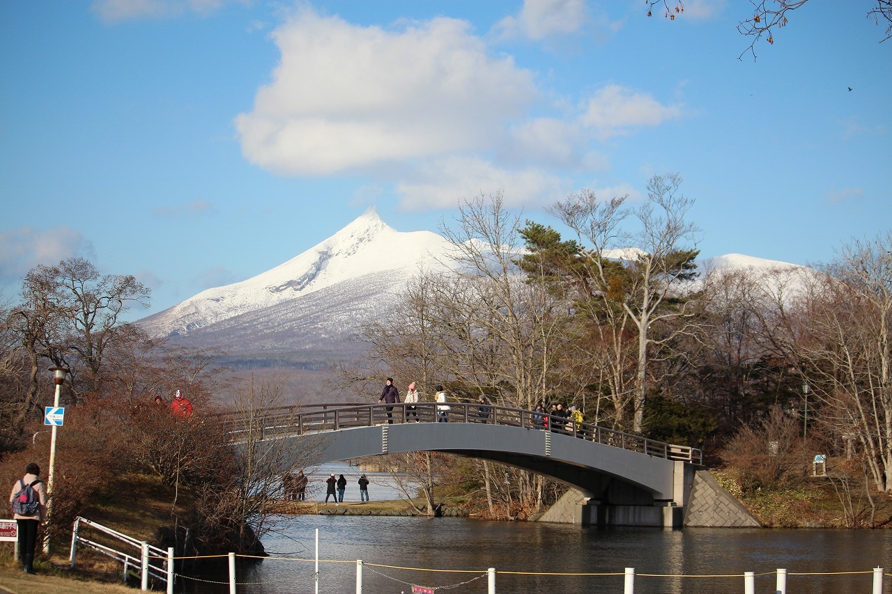 11月29日　大沼公園の雪　３_b0250154_20260640.jpg