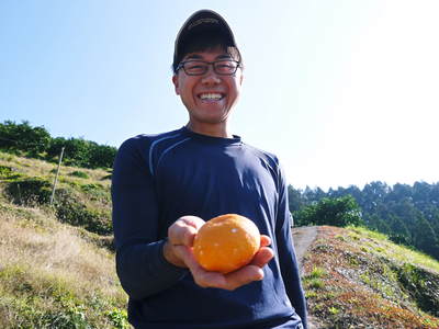 ザ・みかん　晩生（おくて）みかん「金峰」｢青島｣の収穫!!大人気商品のため出荷は年内は3回のみ!!_a0254656_1962717.jpg