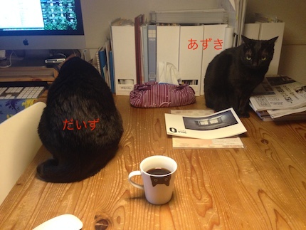 黒猫とマグカップ_f0054859_164228.jpg