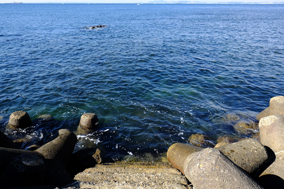 c0084666_15514791.jpg