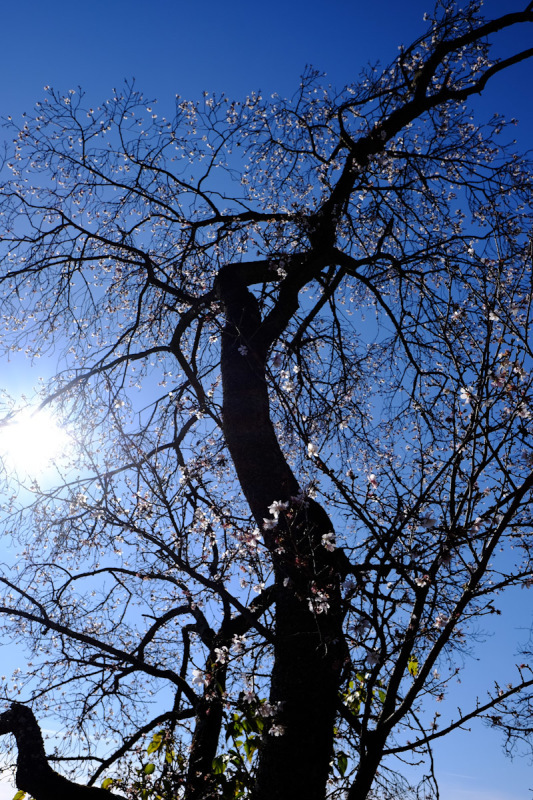 c0084666_18493291.jpg