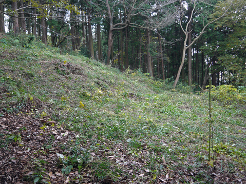 植樹した紅葉の周辺下草刈り12・2六国見山臨時手入れ_c0014967_2036665.jpg