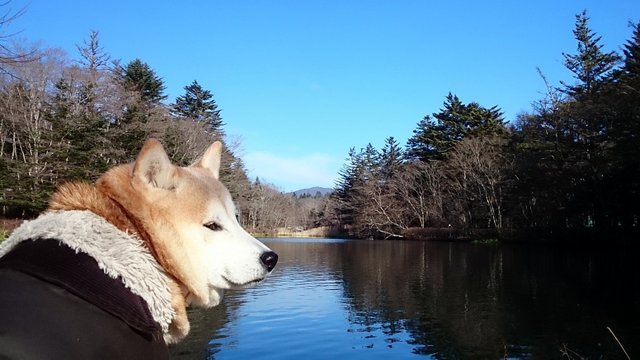 たまにはシックにきめて♪_b0274270_1312566.jpg