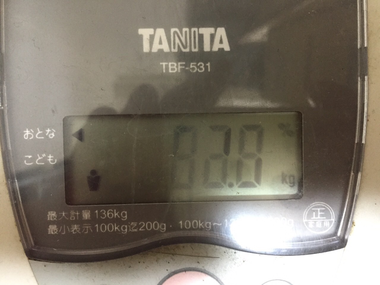 d0197872_21183539.jpeg
