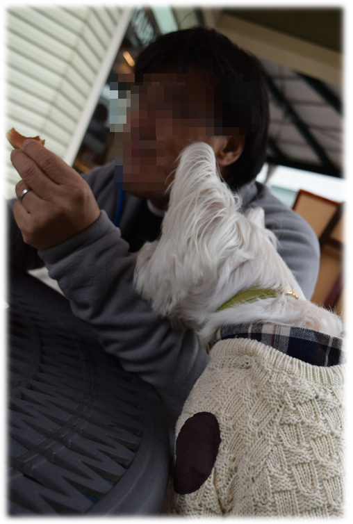 b0242873_00171686.png