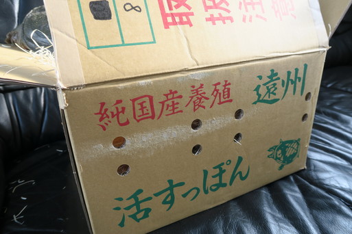 初回購入者限定キャンペーン中!_c0117376_1740398.jpg