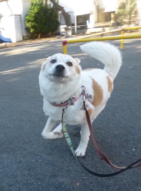 c0364176_18075673.jpeg