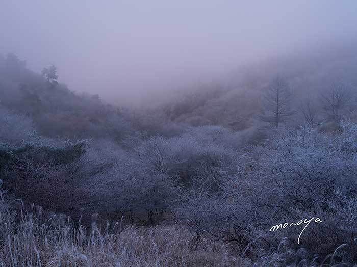 霧氷３_c0085877_06573858.jpg