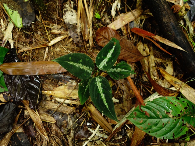 a0067578_17184.jpg