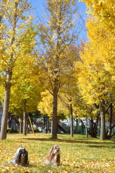 a0198883_1732375.jpg
