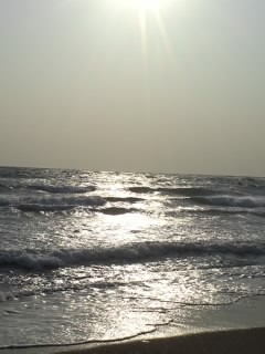 c0035386_11595529.jpg