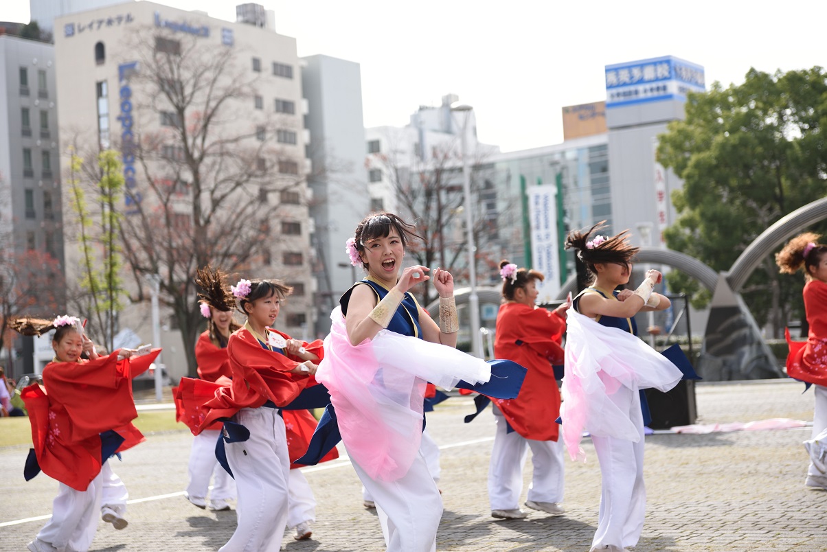 四日市よさこい_f0184198_0125536.jpg