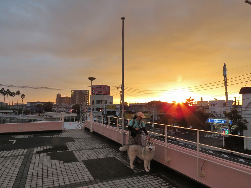 まさか! (*^_^*;)_c0049299_21292912.jpg