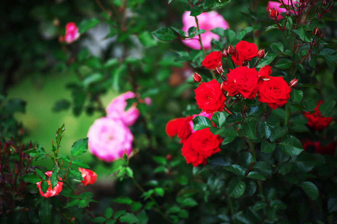 a0263109_20123163.jpg