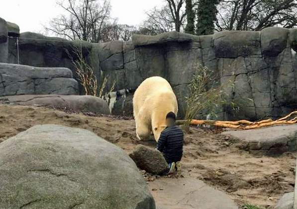 デンマーク・コペンハーゲン動物園で男がホッキョクグマ展示場に侵入 ~ 警告発砲を受けたボリスは無事_a0151913_3101596.jpg