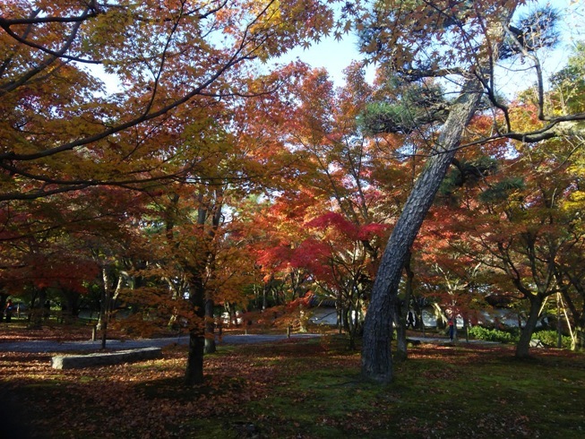 e0033713_22155101.jpg