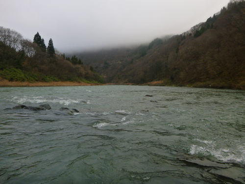 2015.11 犀川〆釣行!?_a0236914_9133456.jpg