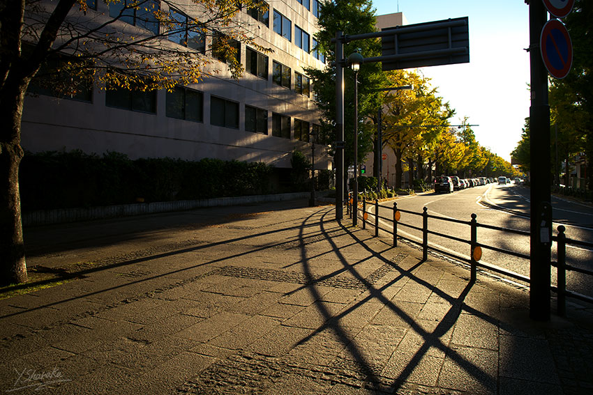 f0344614_1214276.jpg