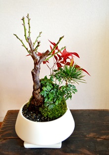 12月おくりもの展のご案内_d0263815_13243413.jpg