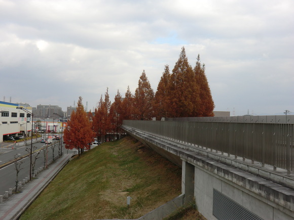 b0163121_21573996.jpg