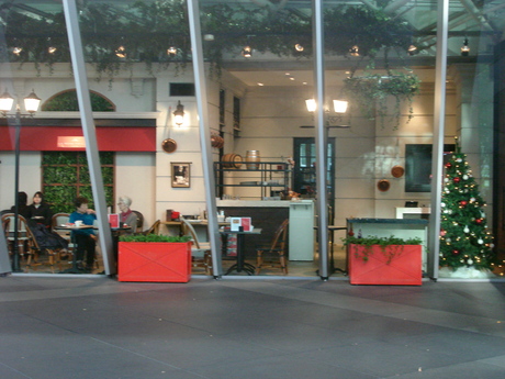d0250123_1742262.jpg