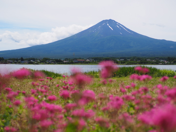 唐突ですが最終回_b0244424_23501758.jpg